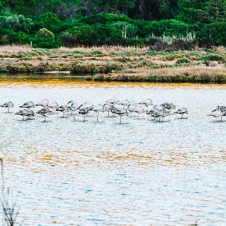 Costa Salina 4* Πόρτο Βέκιο